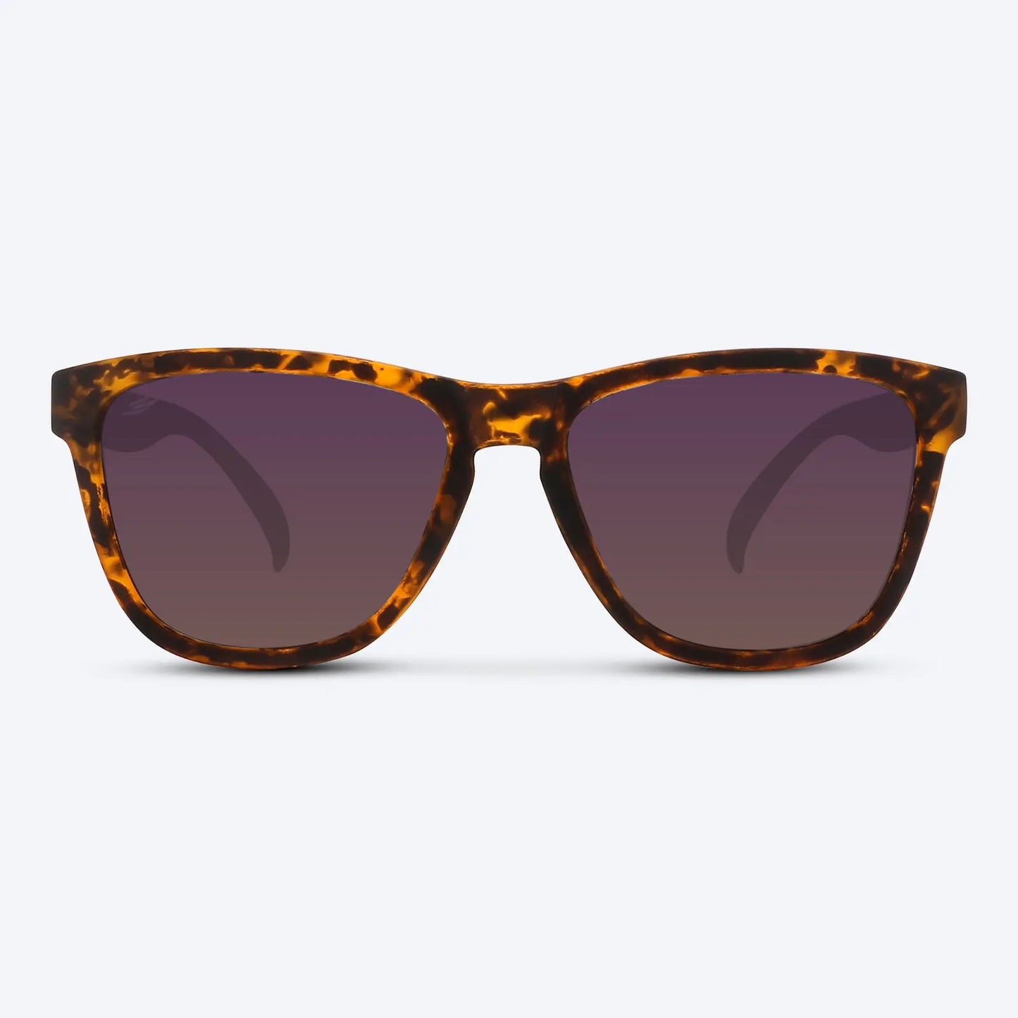 Classic X Brown Tortoise