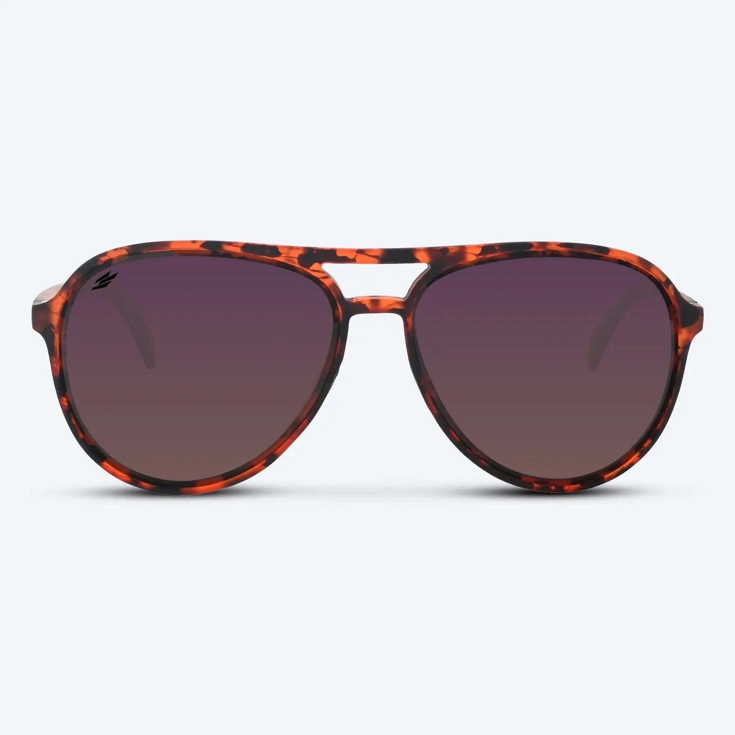 Maverick Brown Tortoise