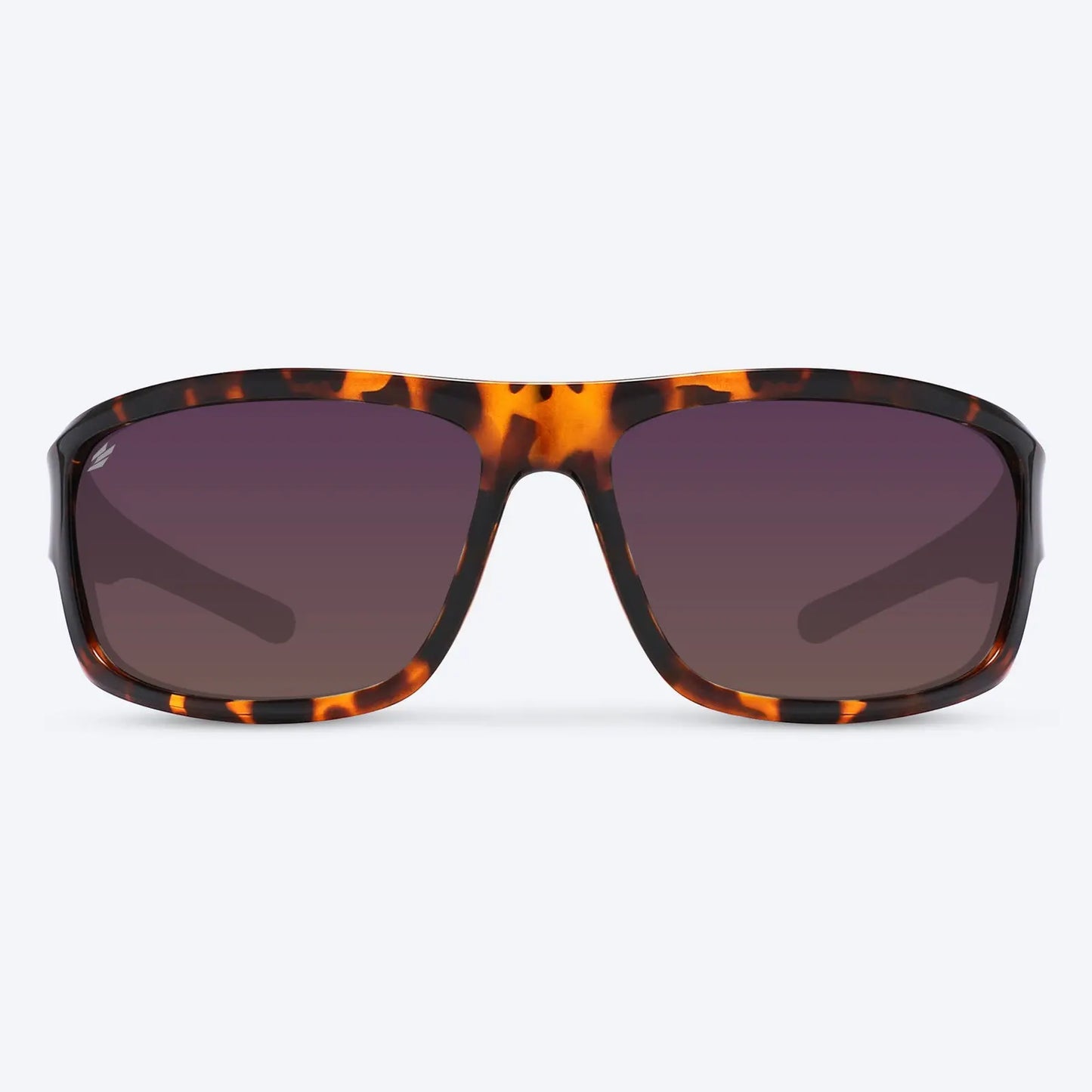 Overland Brown Tortoise