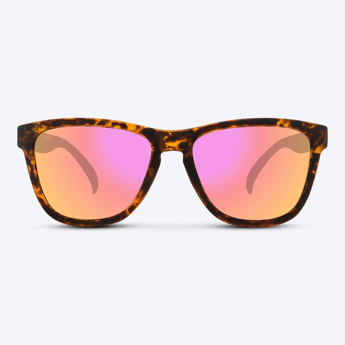 Classic X Brown Tortoise