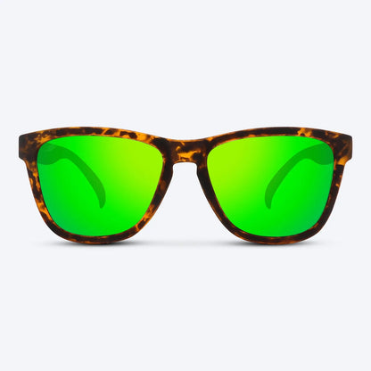 Classic X Brown Tortoise