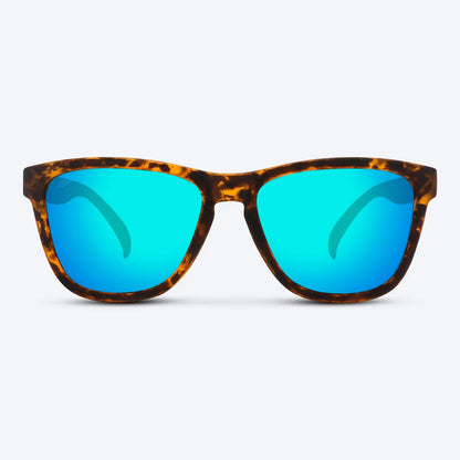 Classic X Brown Tortoise