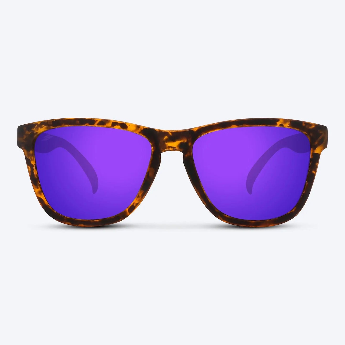 Classic X Brown Tortoise