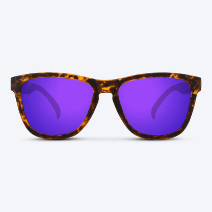 Classic X Brown Tortoise