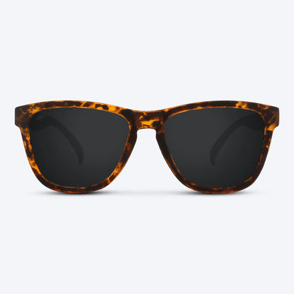 Classic X Brown Tortoise