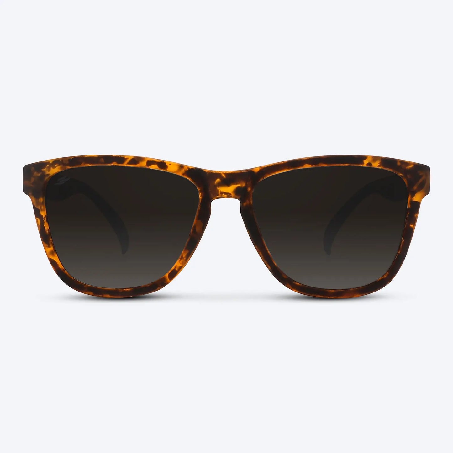 Classic X Brown Tortoise