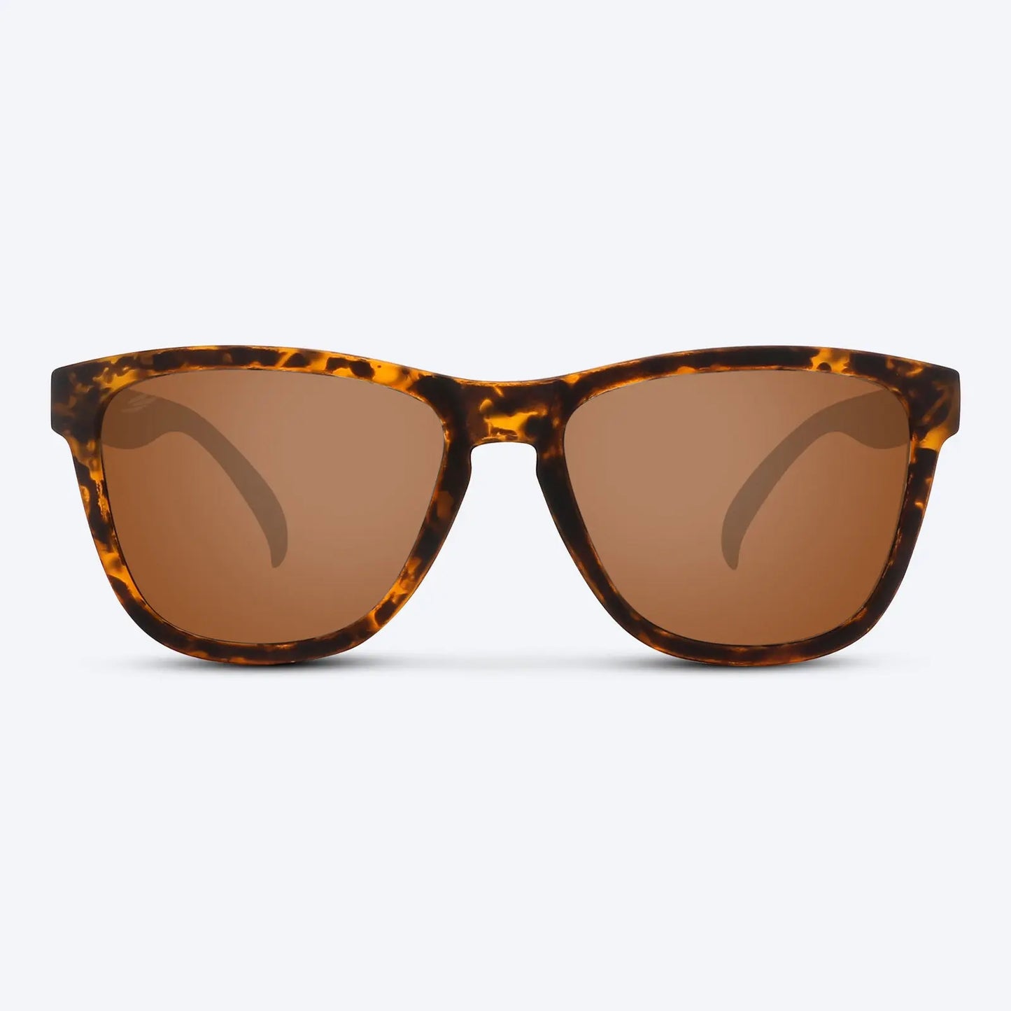 Classic X Brown Tortoise
