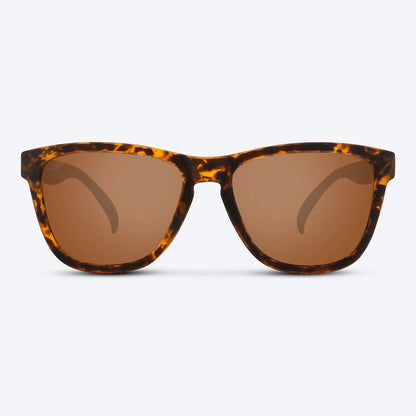 Classic X Brown Tortoise