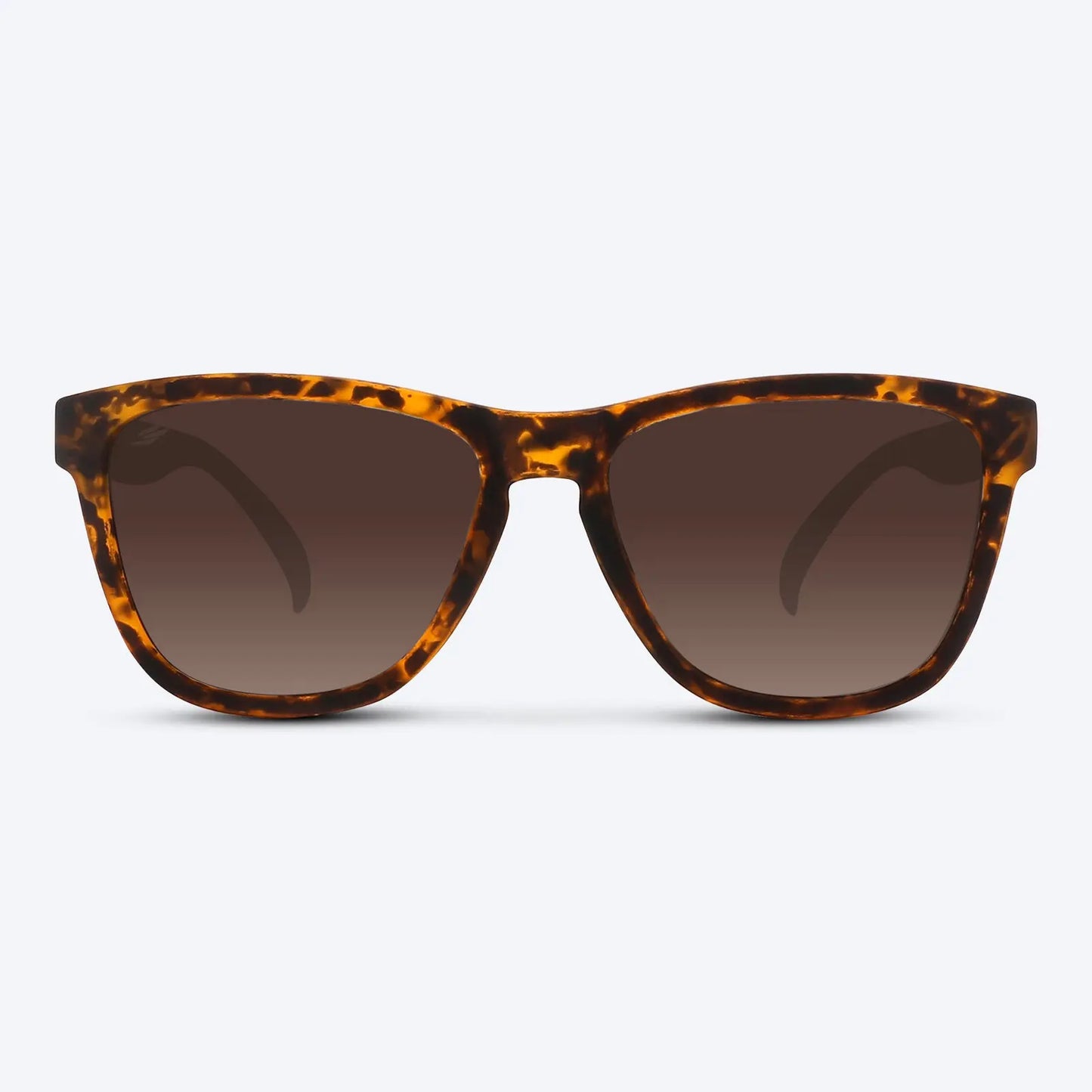 Classic X Brown Tortoise