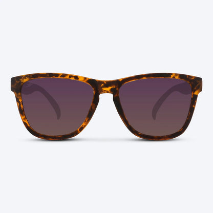 Classic X Brown Tortoise