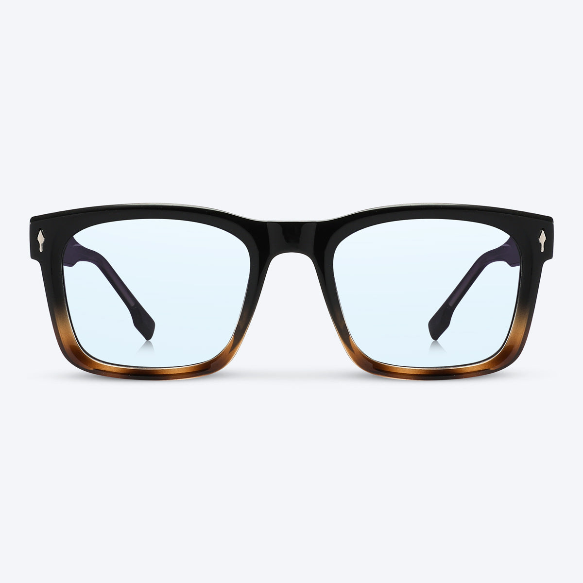 Loma Black Tortoise