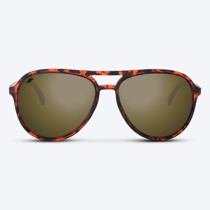 Maverick Brown Tortoise