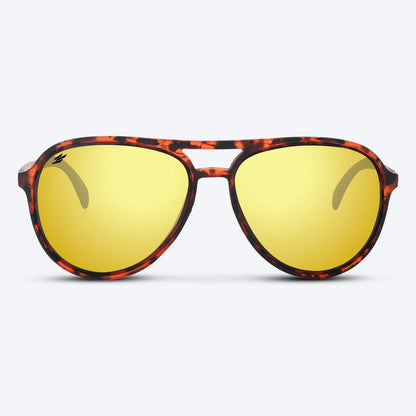 Maverick Brown Tortoise