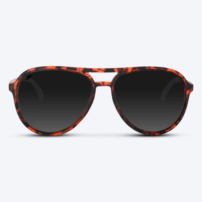 Maverick Brown Tortoise