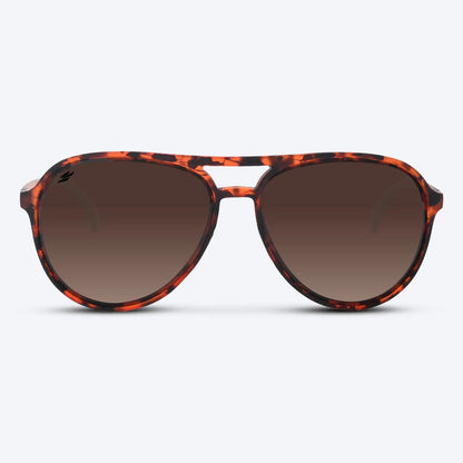 Maverick Brown Tortoise