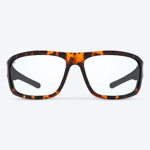Overland Brown Tortoise