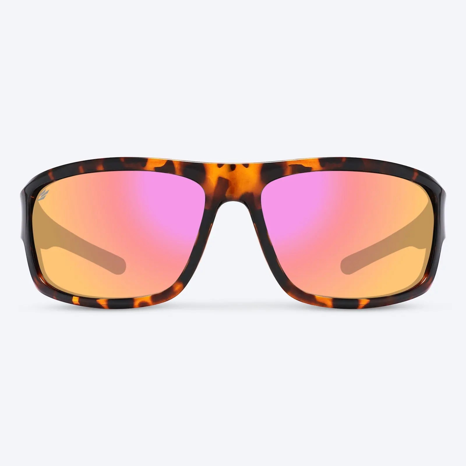Overland Brown Tortoise