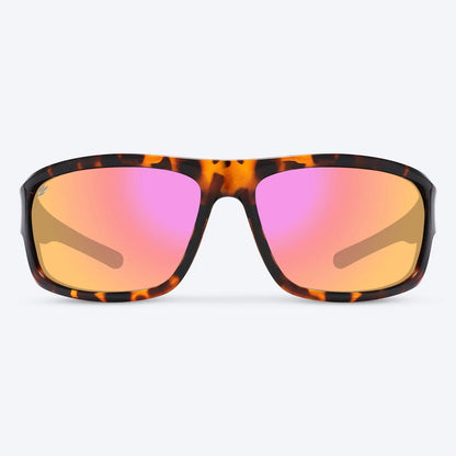 Overland Brown Tortoise
