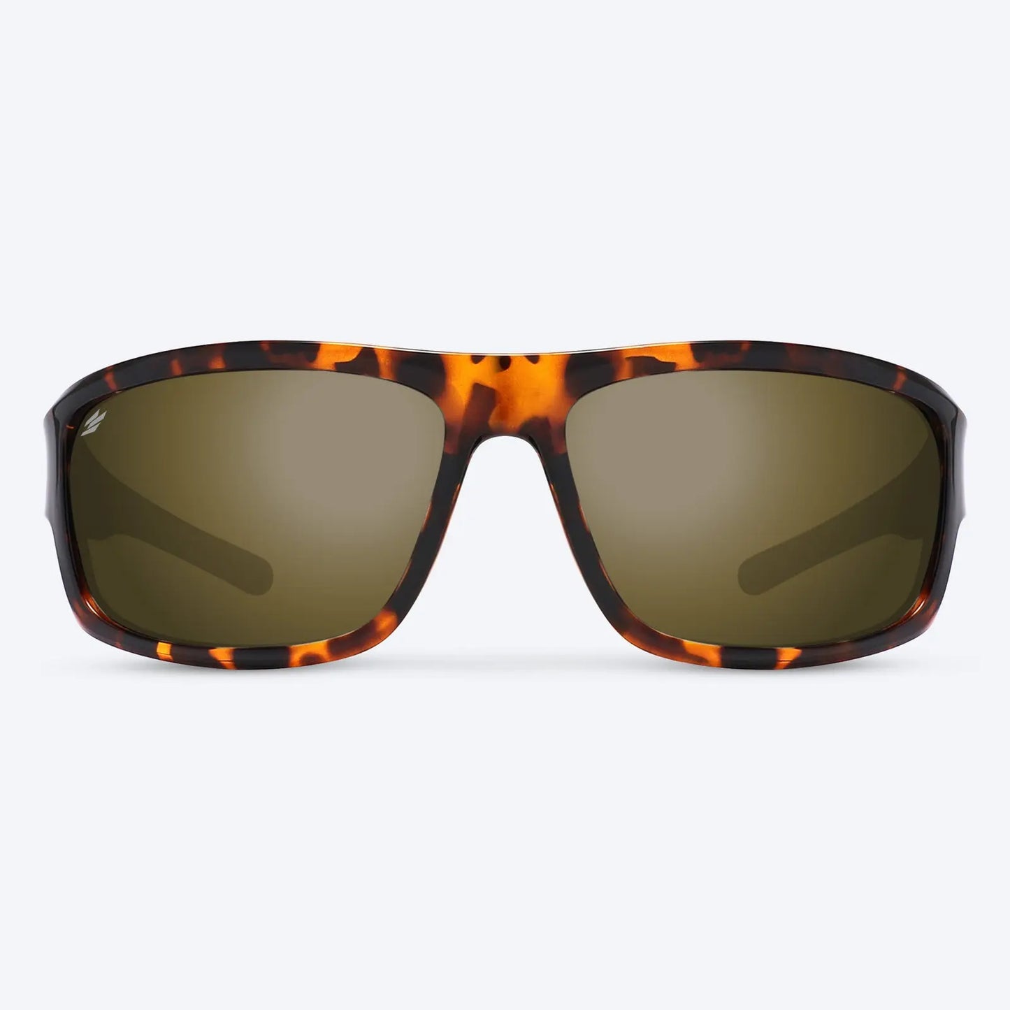 Overland Brown Tortoise