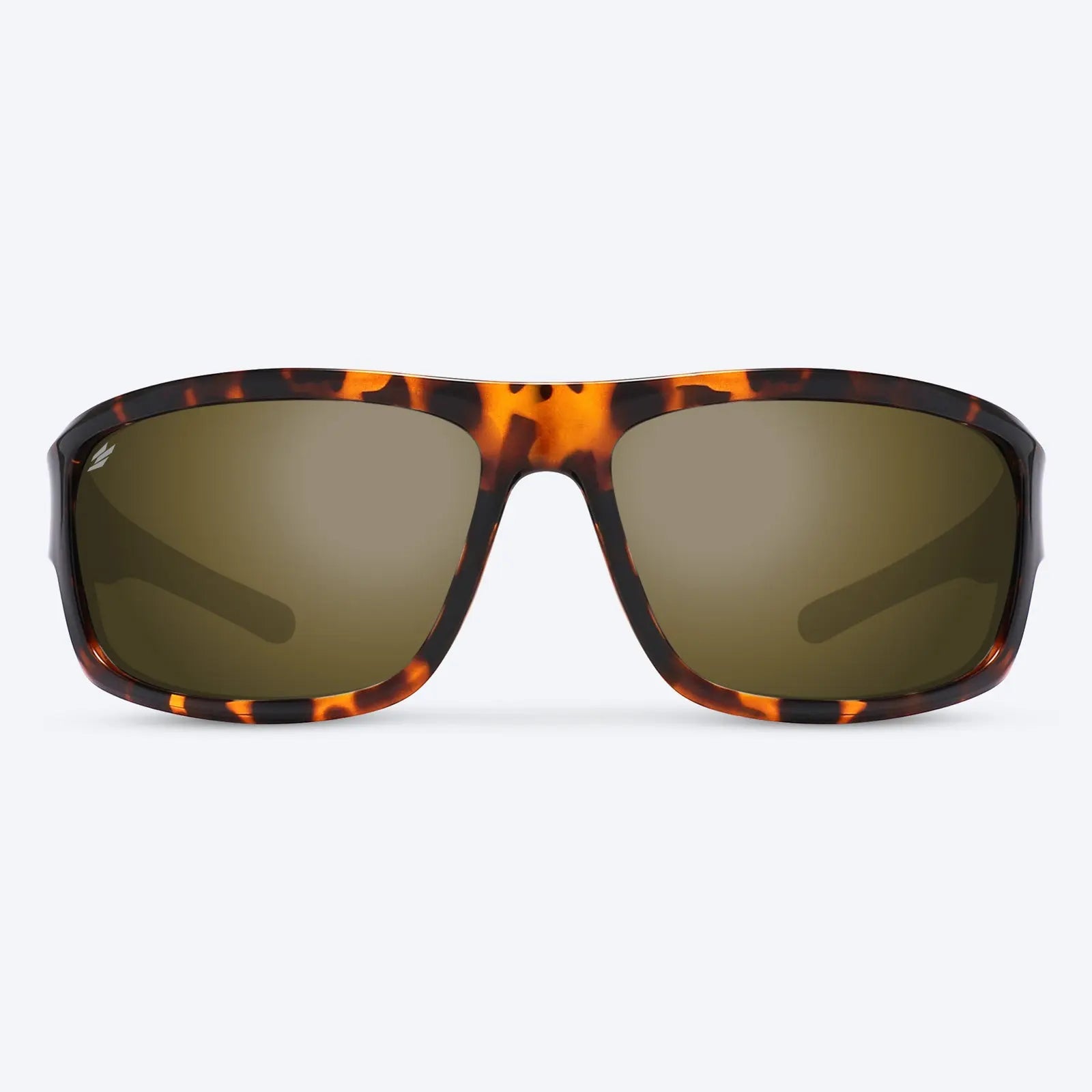 Overland Brown Tortoise