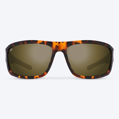 Overland Brown Tortoise