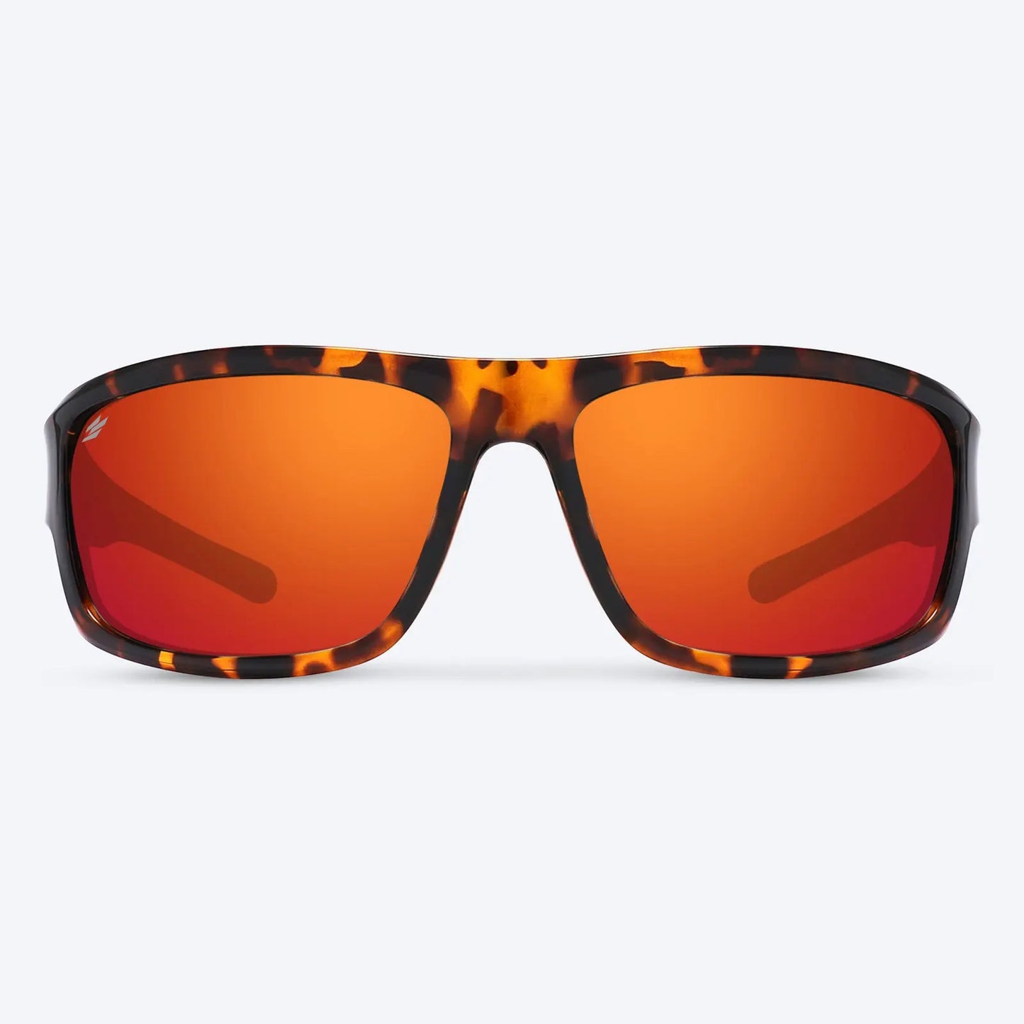 Overland Brown Tortoise