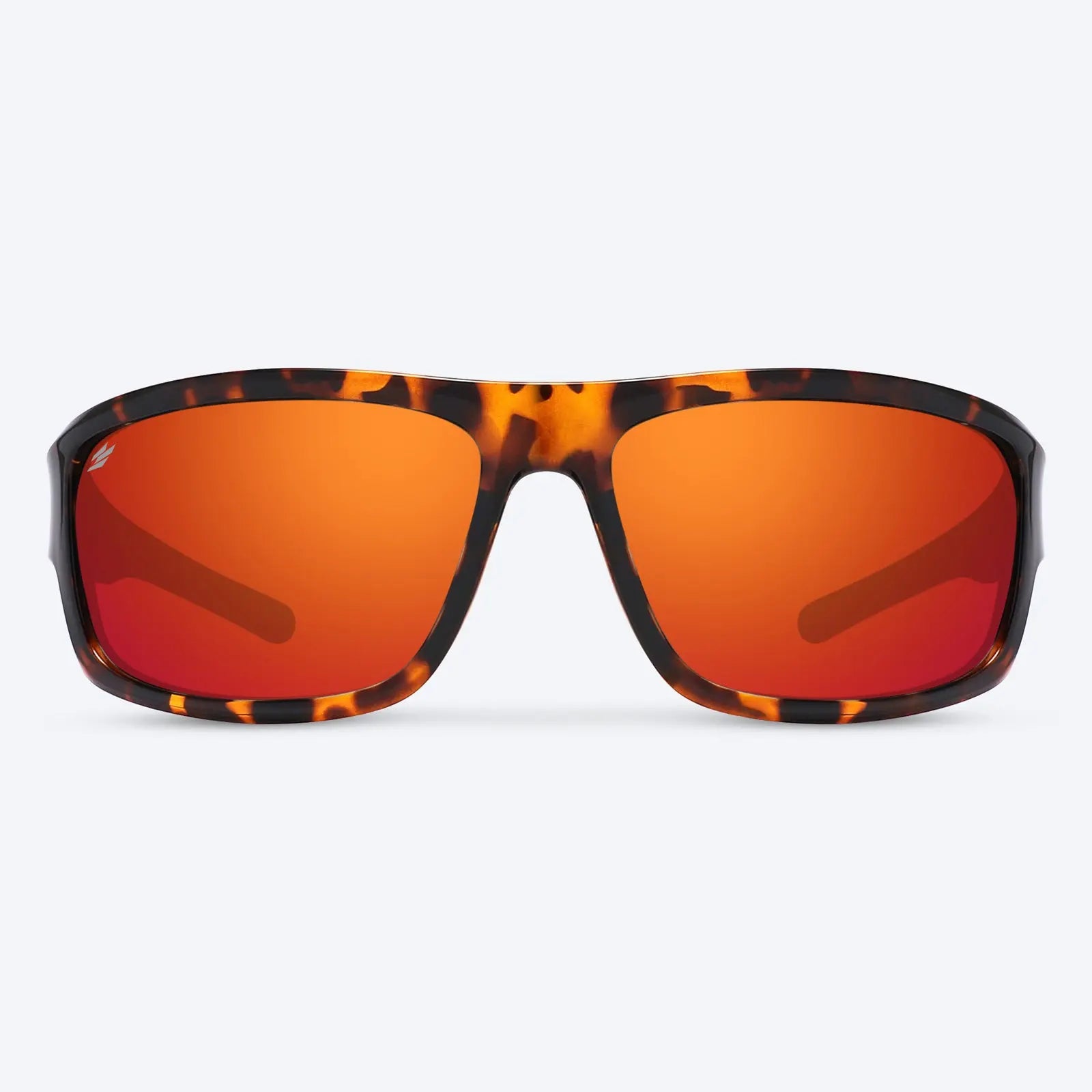 Overland Brown Tortoise
