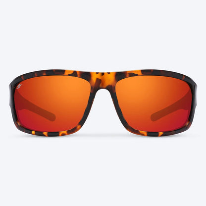 Overland Brown Tortoise