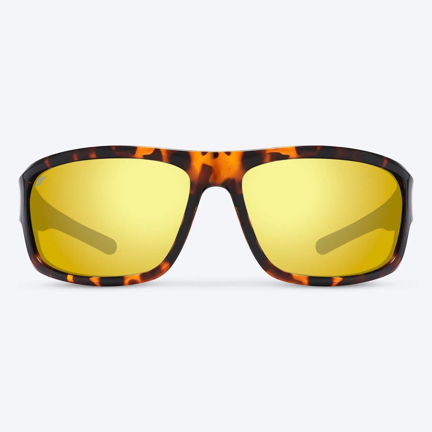 Overland Brown Tortoise