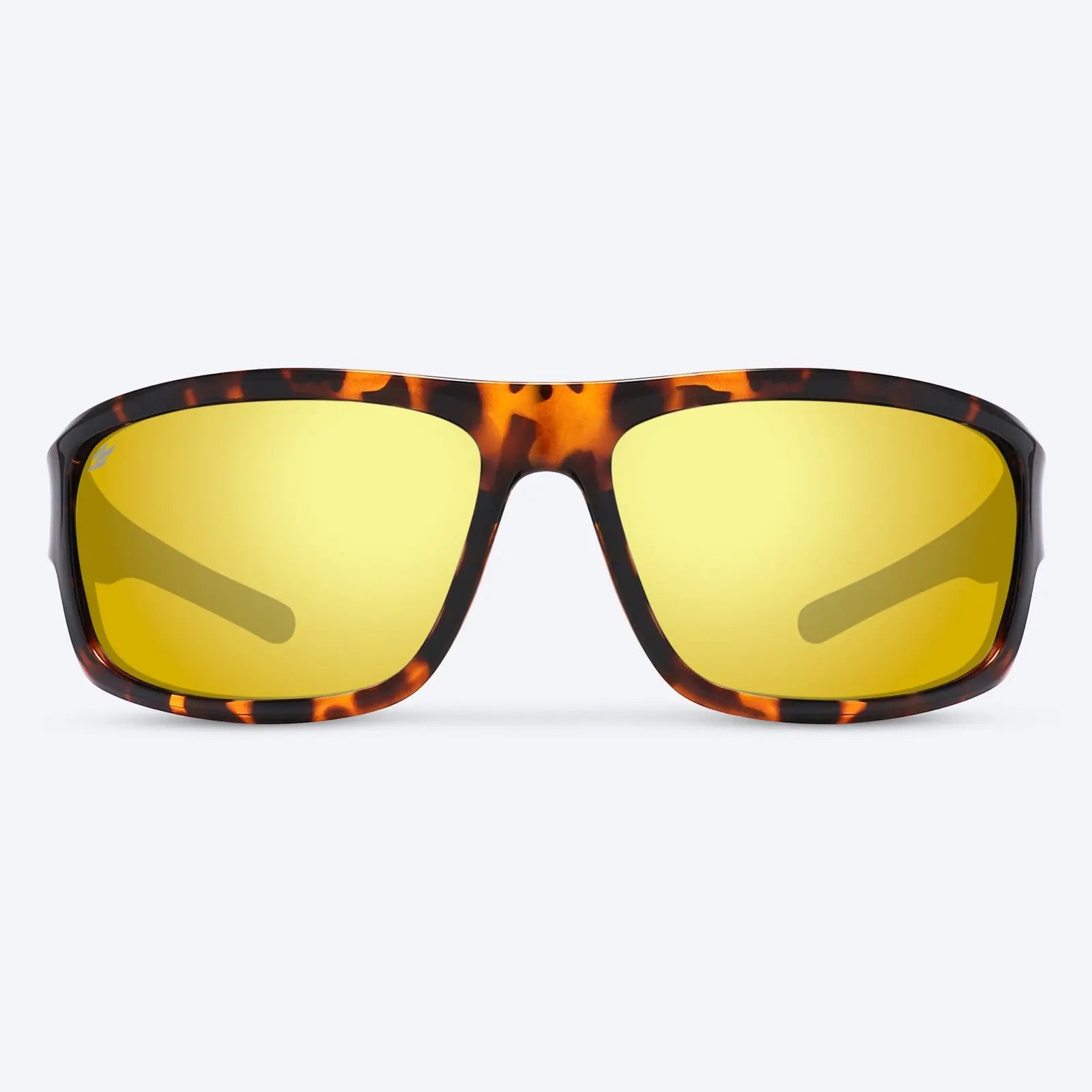 Overland Brown Tortoise