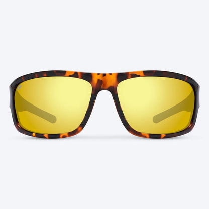 Overland Brown Tortoise