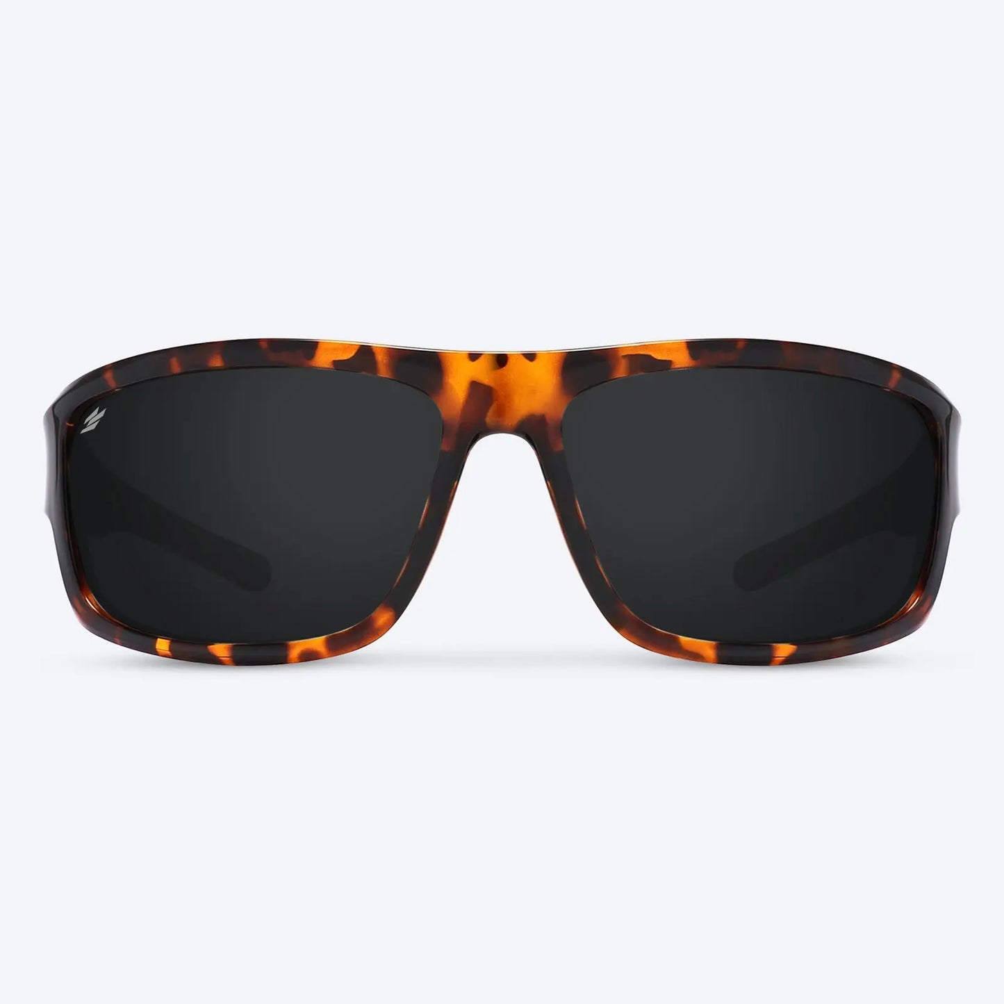 Overland Brown Tortoise