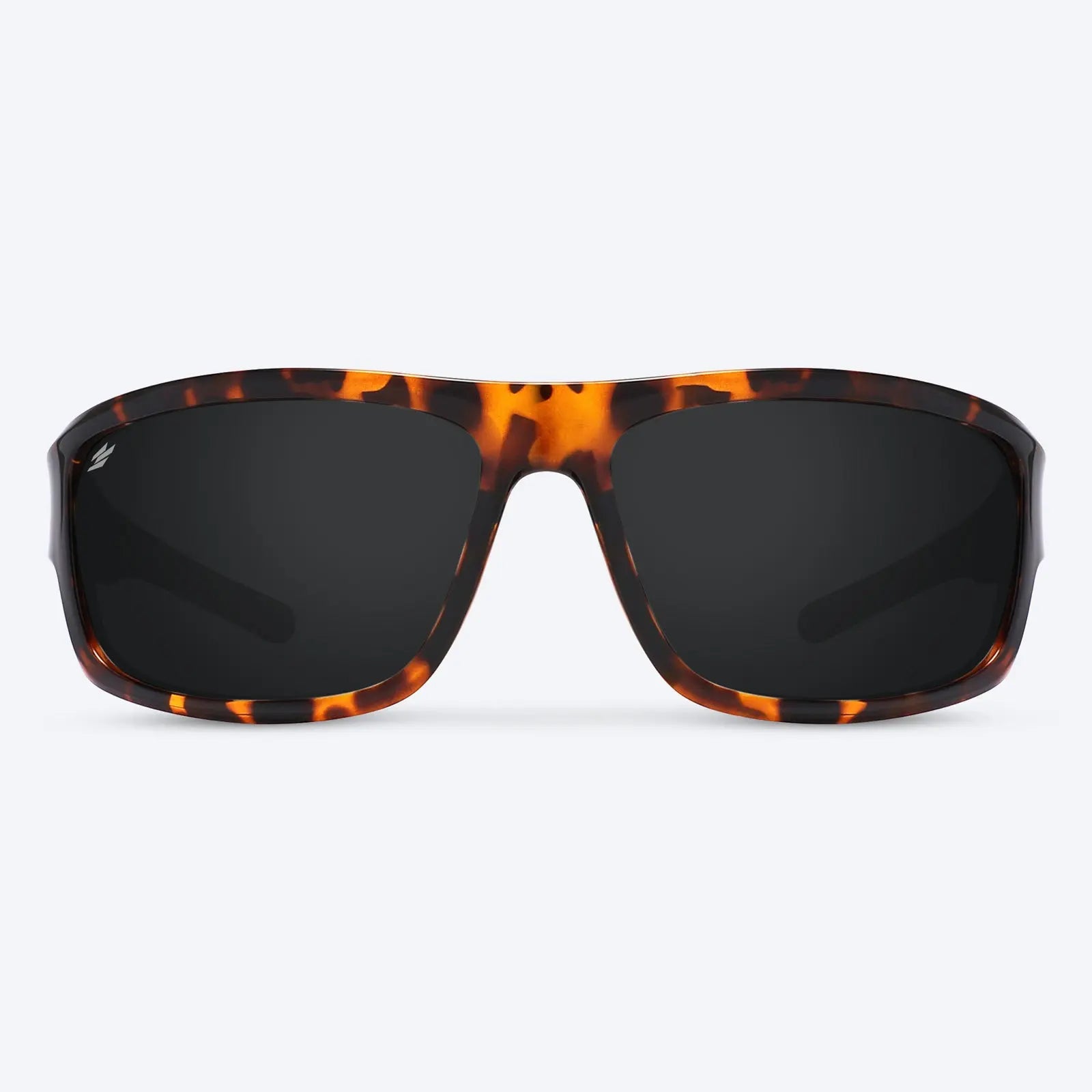 Overland Brown Tortoise