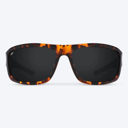 Overland Brown Tortoise