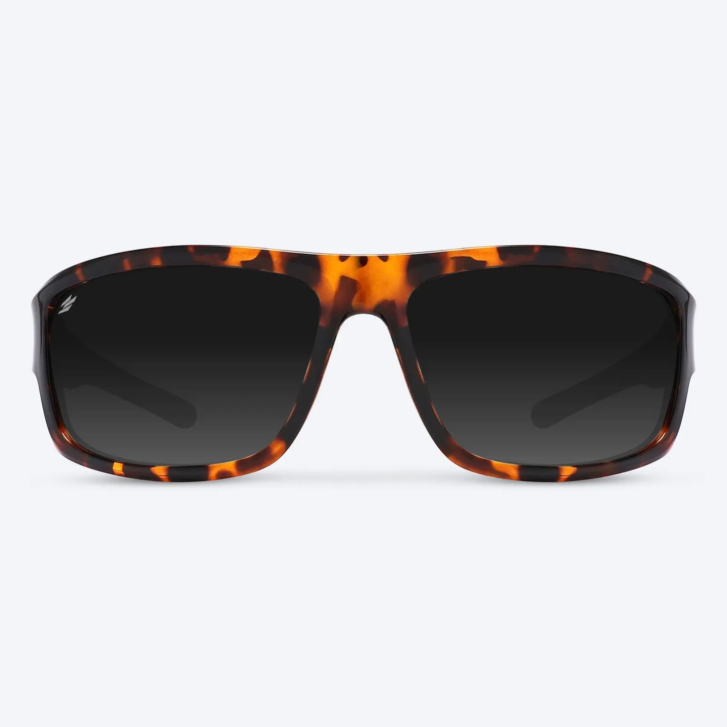 Overland Brown Tortoise