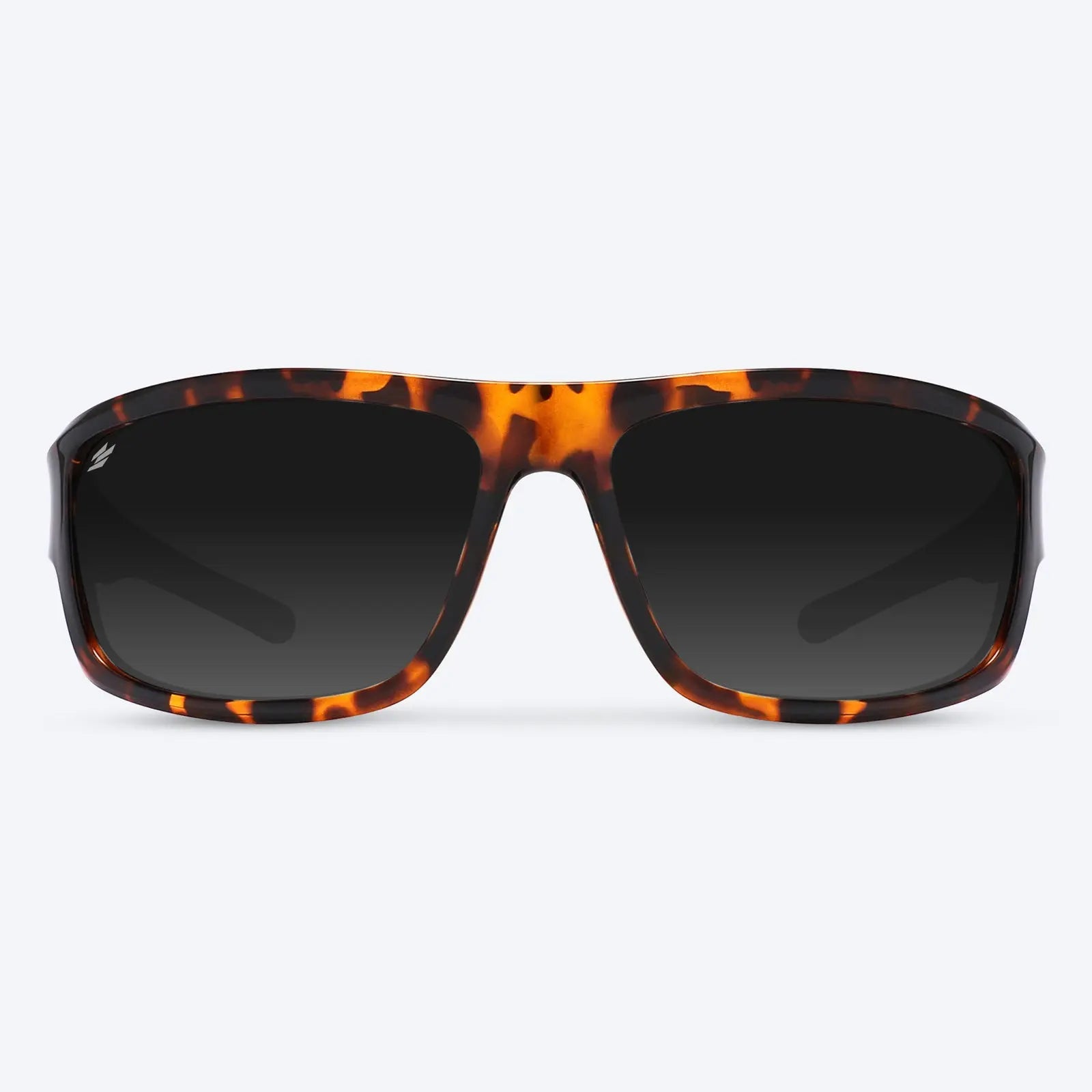 Overland Brown Tortoise