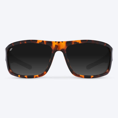 Overland Brown Tortoise