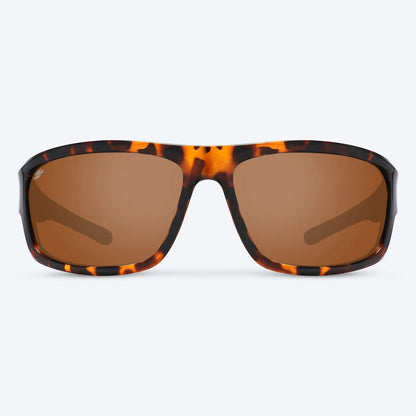 Overland Brown Tortoise