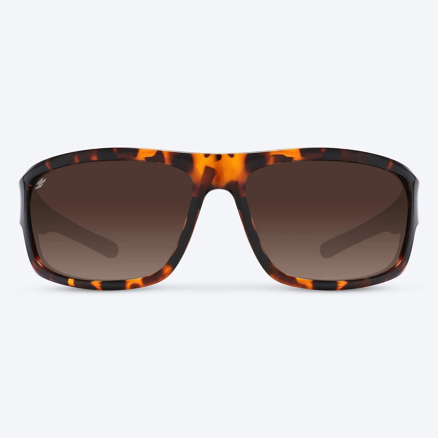 Overland Brown Tortoise