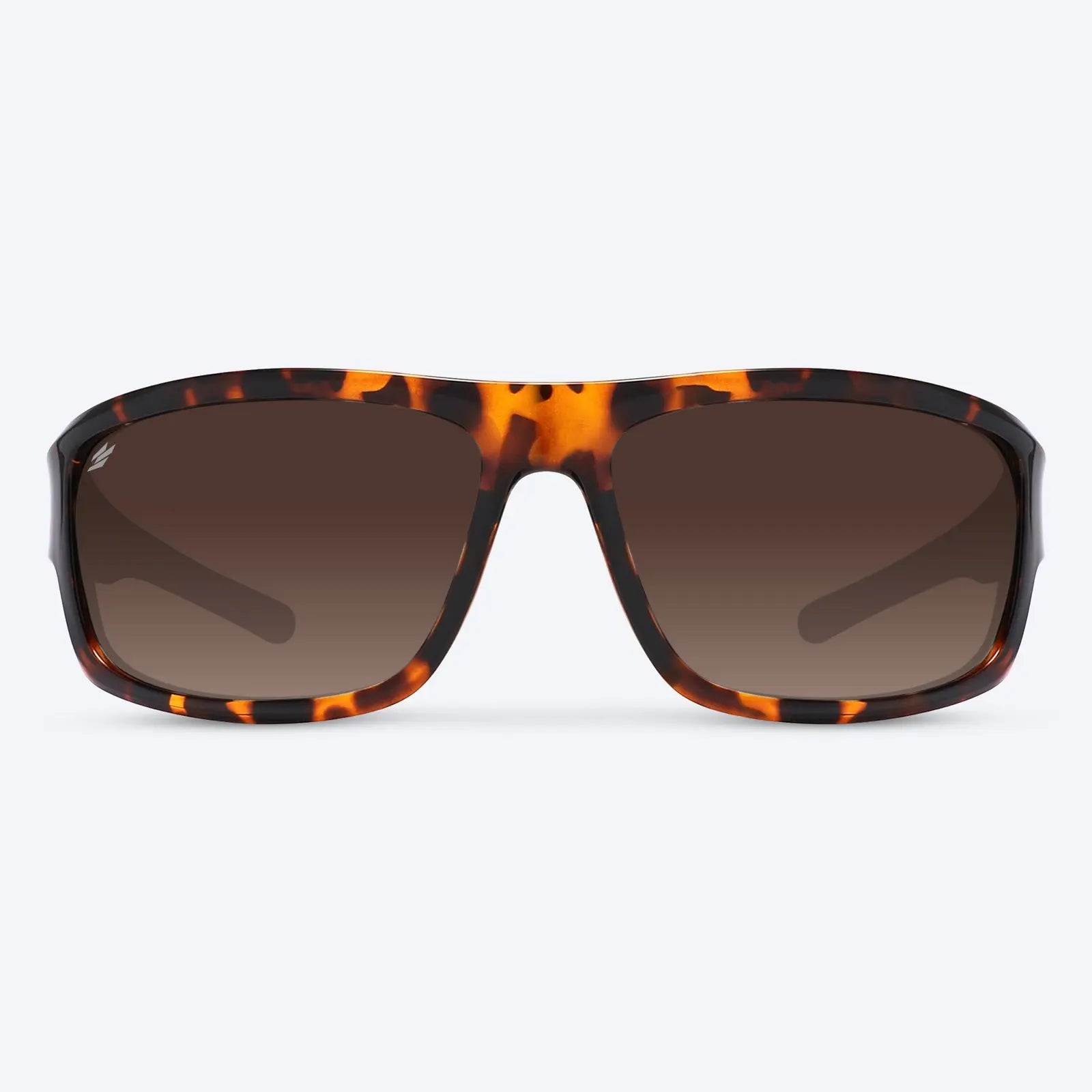 Overland Brown Tortoise