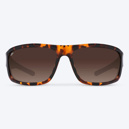 Overland Brown Tortoise