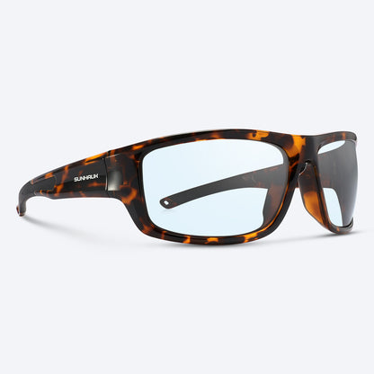 Overland Brown Tortoise