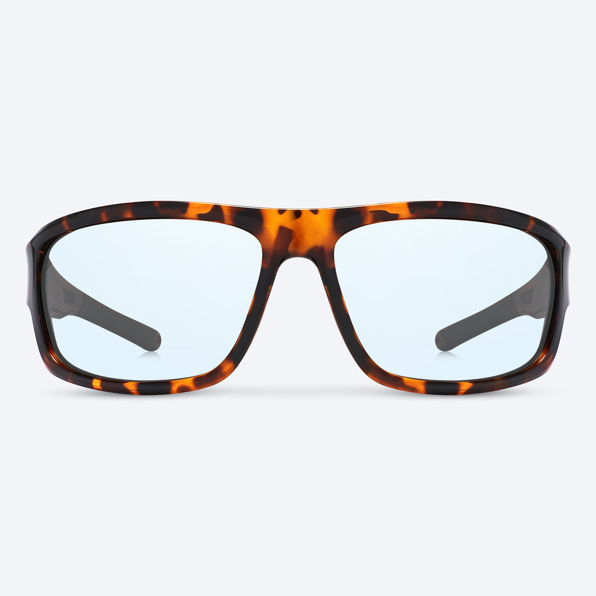 Overland Brown Tortoise